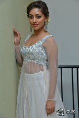 Anu Emmanuel at Kittu Unnaadu Jagratha Movie Gummadikaya Function